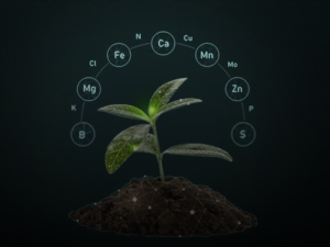 Soil, water and Environment Analytics